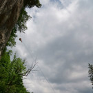 DSC06222 _Medium_.JPG