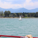 IMG_7735.jpg