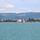 IMG_7745.jpg
