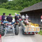 k-Zulipf-Satteinser Gulm _13__JPG-1403121148.jpg