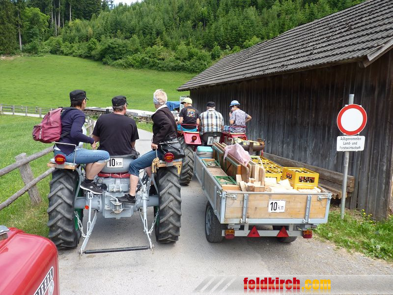 k-Zulipf-Satteinser Gulm _13__JPG-1403121148.jpg