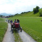 k-Zulipf-Satteinser Gulm _16__JPG-1403121152.jpg