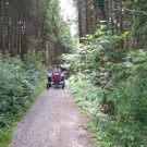 k-Zulipf-Satteinser Gulm _18__JPG-1403121157.jpg