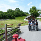 k-Zulipf-Satteinser Gulm _23__JPG-1403121165.jpg