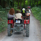 k-Zulipf-Satteinser Gulm _51__JPG-1403121199.jpg