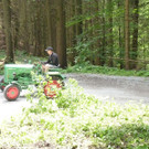 k-Zulipf-Satteinser Gulm _56__JPG-1403121202.jpg