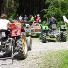 k-Zulipf-Satteinser Gulm _57__JPG-1403121205.jpg