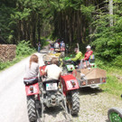 k-Zulipf-Satteinser Gulm _58__JPG-1403121207.jpg