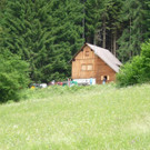 k-Zulipf-Satteinser Gulm _71__JPG-1403121217.jpg