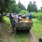 k-Zulipf-Satteinser Gulm _72__JPG-1403121220.jpg