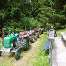 k-Zulipf-Satteinser Gulm _75__JPG-1403121225.jpg