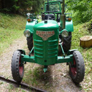 k-Zulipf-Satteinser Gulm _79__JPG-1403121232.jpg