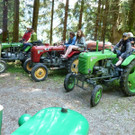 k-Zulipf-Satteinser Gulm _101__JPG-1403121268.jpg