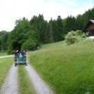 k-Zulipf-Satteinser Gulm _106__JPG-1403121275.jpg