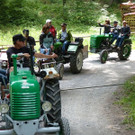 k-Zulipf-Satteinser Gulm _108__JPG-1403121278.jpg