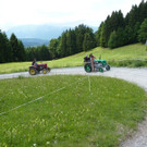 k-Zulipf-Satteinser Gulm _114__JPG-1403121290.jpg