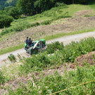 k-Zulipf-Satteinser Gulm _120__JPG-1403121298.jpg