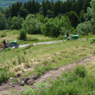 k-Zulipf-Satteinser Gulm _123__JPG-1403121302.jpg