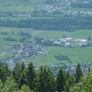 k-Zulipf-Satteinser Gulm _126__JPG-1403121308.jpg