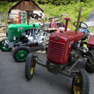 k-Zulipf-Satteinser Gulm _161__JPG-1403121371.jpg