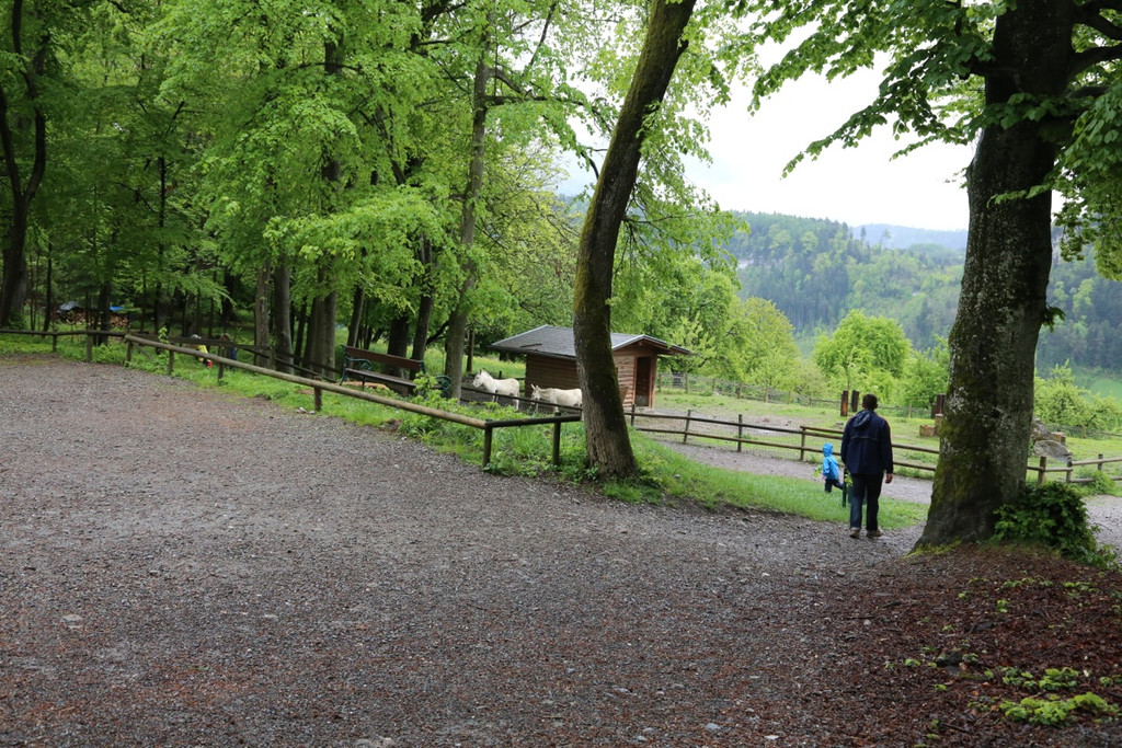 KOE_Wildpark Barokesel 1.jpg