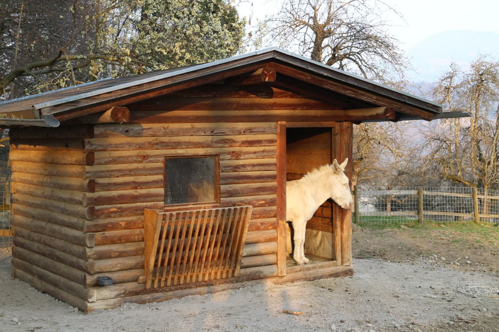 KOE_Wildpark Barokesel 2.jpg