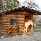 KOE_Wildpark Barokesel 2.jpg