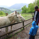 KOE_Wildpark Barokesel 5.jpg