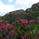 DSC0168.JPG