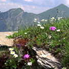 DSC0105.JPG