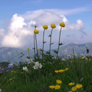 DSC0106.JPG