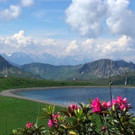 DSC0108.JPG