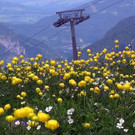 DSC0120.JPG