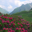 DSC0174.JPG