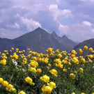 DSC0140.JPG