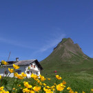 DSC0201.JPG