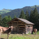 DSC00904.JPG