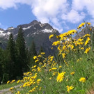 DSC00906.JPG