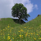 DSC0908.JPG