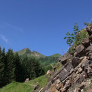 DSC00909.JPG