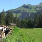 DSC00911.JPG