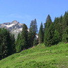 DSC00916.JPG