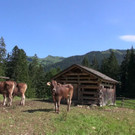 DSC00951.JPG