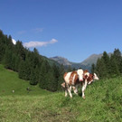 DSC00952.JPG