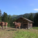 DSC00954.JPG