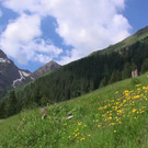 DSC00962.JPG