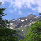 DSC00976.JPG