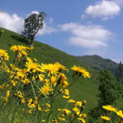 DSC00971.JPG