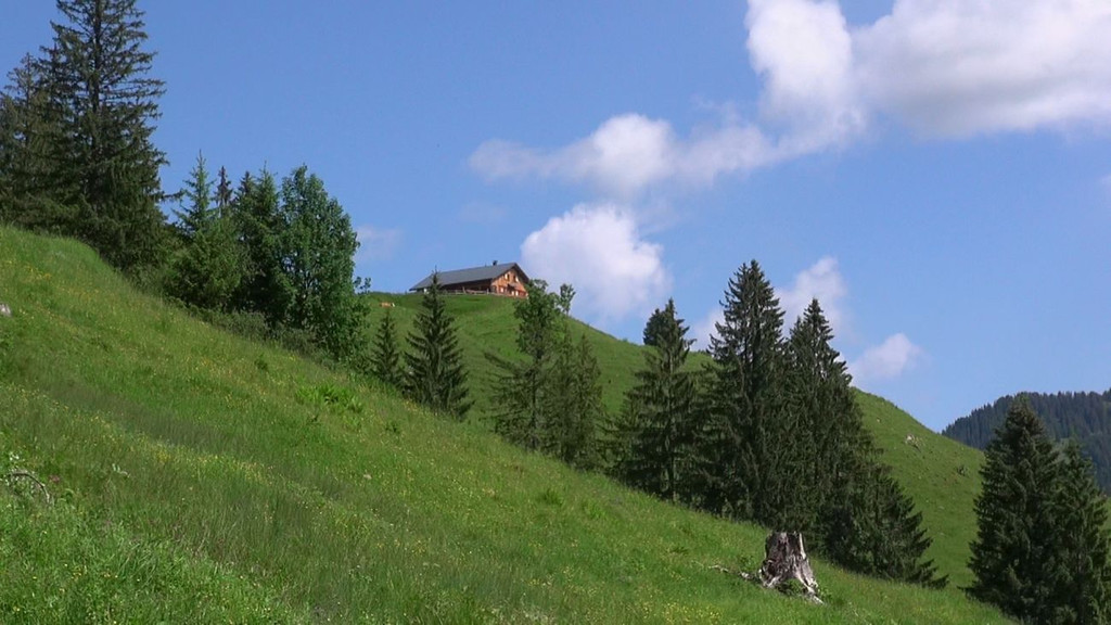DSC00977.JPG