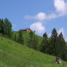 DSC00977.JPG